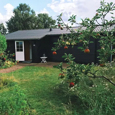 Play And Nature Experiences In Tuse Naes *